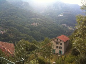 albertazzi_alto